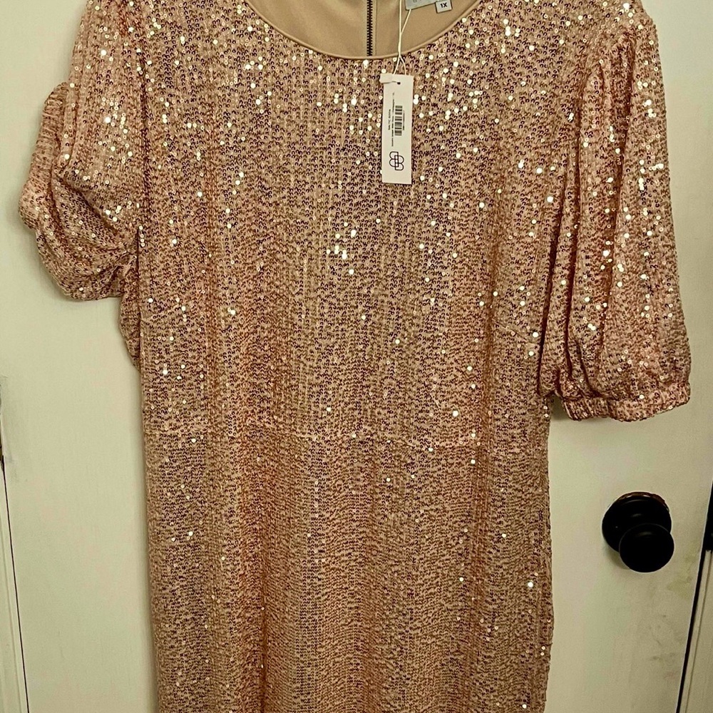 Baltic Born Socorro Midi Sequin Dress